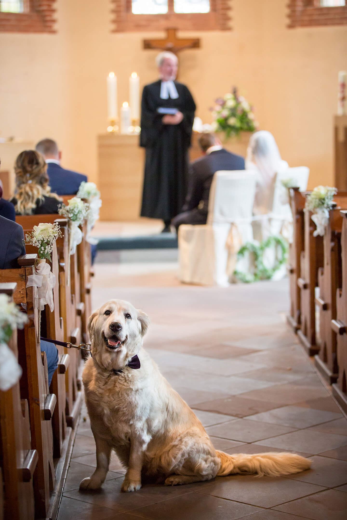 Hund bei einer Trauung in der St Paulus Kirche in Buchholz