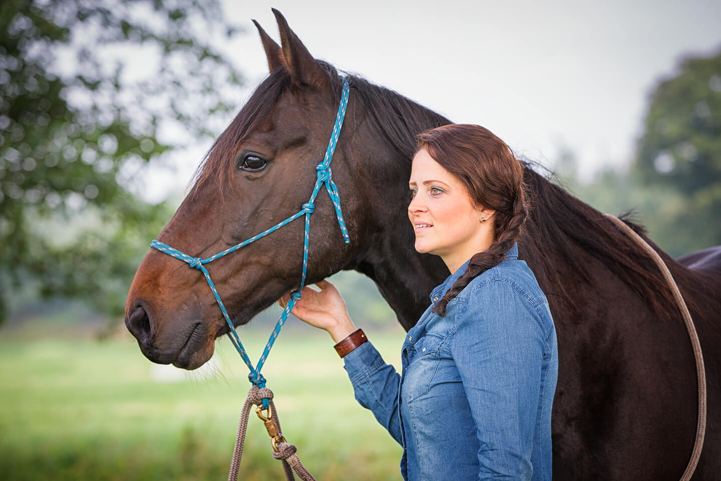 Portrait von Pferd und Reiterin
