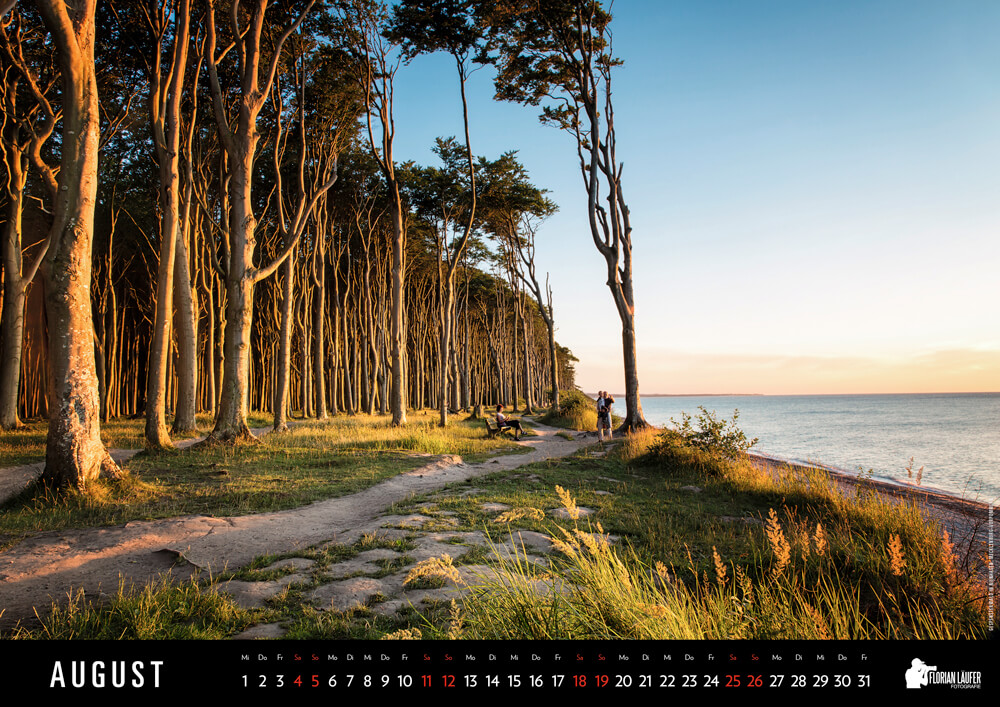 Gespensterwald in Nienhagen, Mecklenburg-Vorpommern