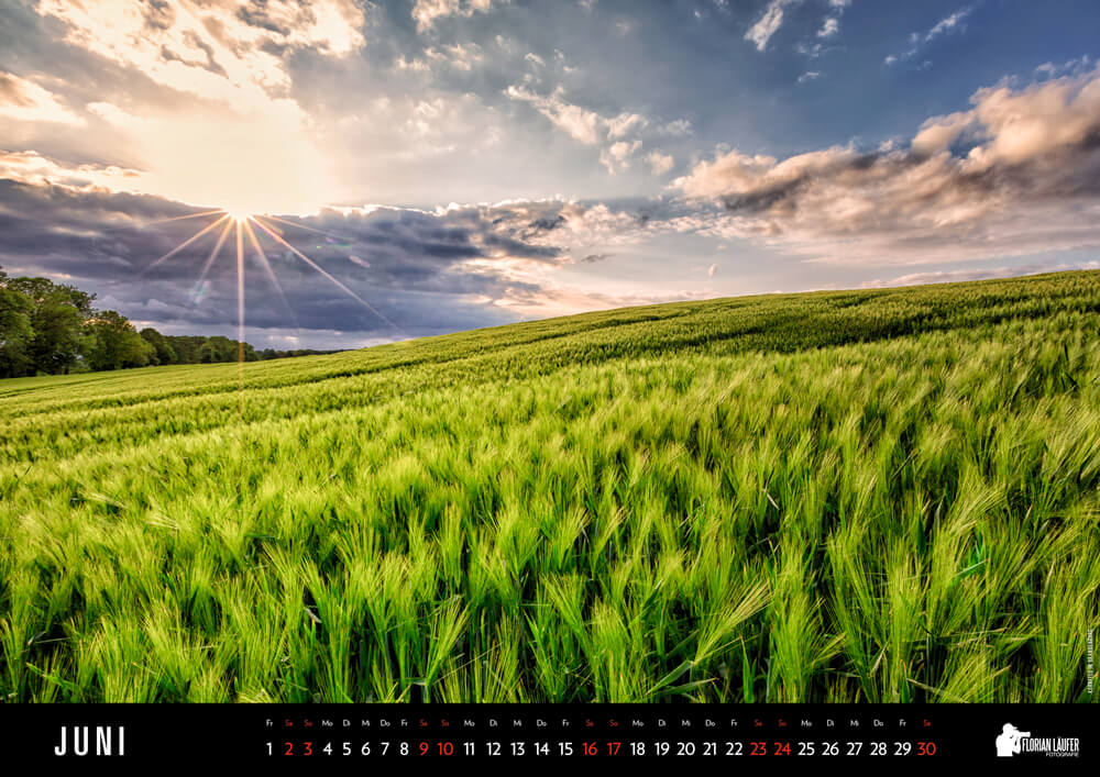 Kornfeld in Brandenburg