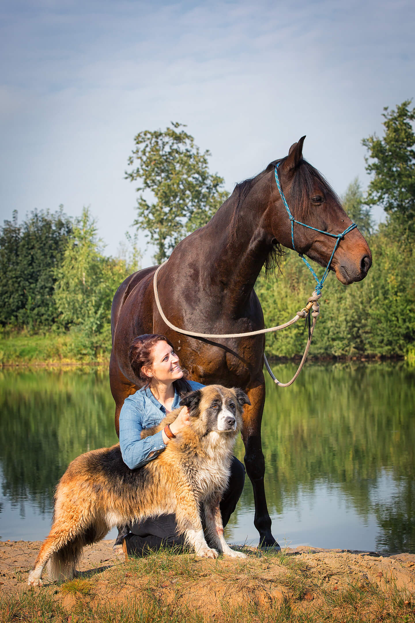 Pferde-Fotoshooting mit Reiterin und Hund