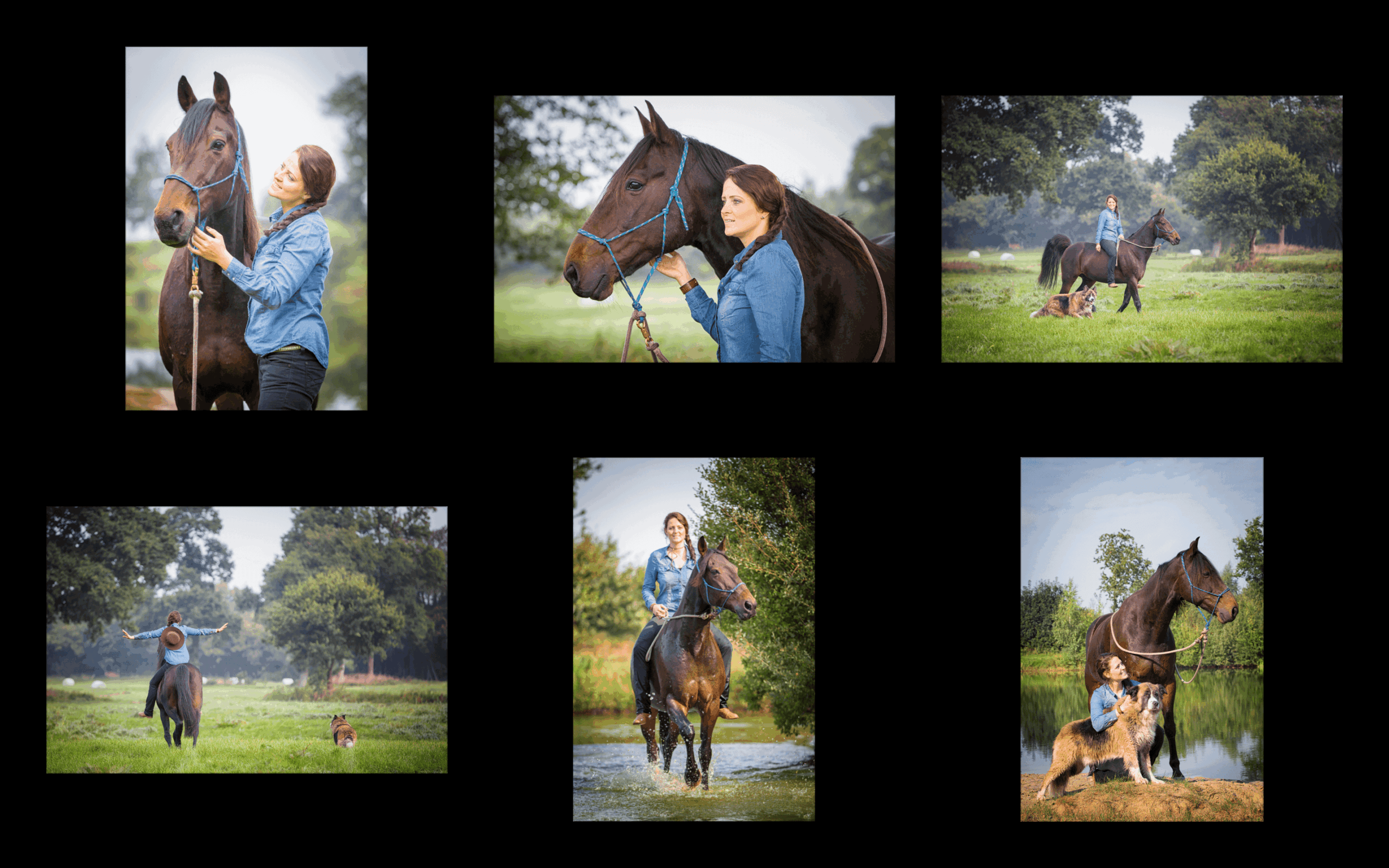 Pferde-Fotoshooting mit Anne und Index