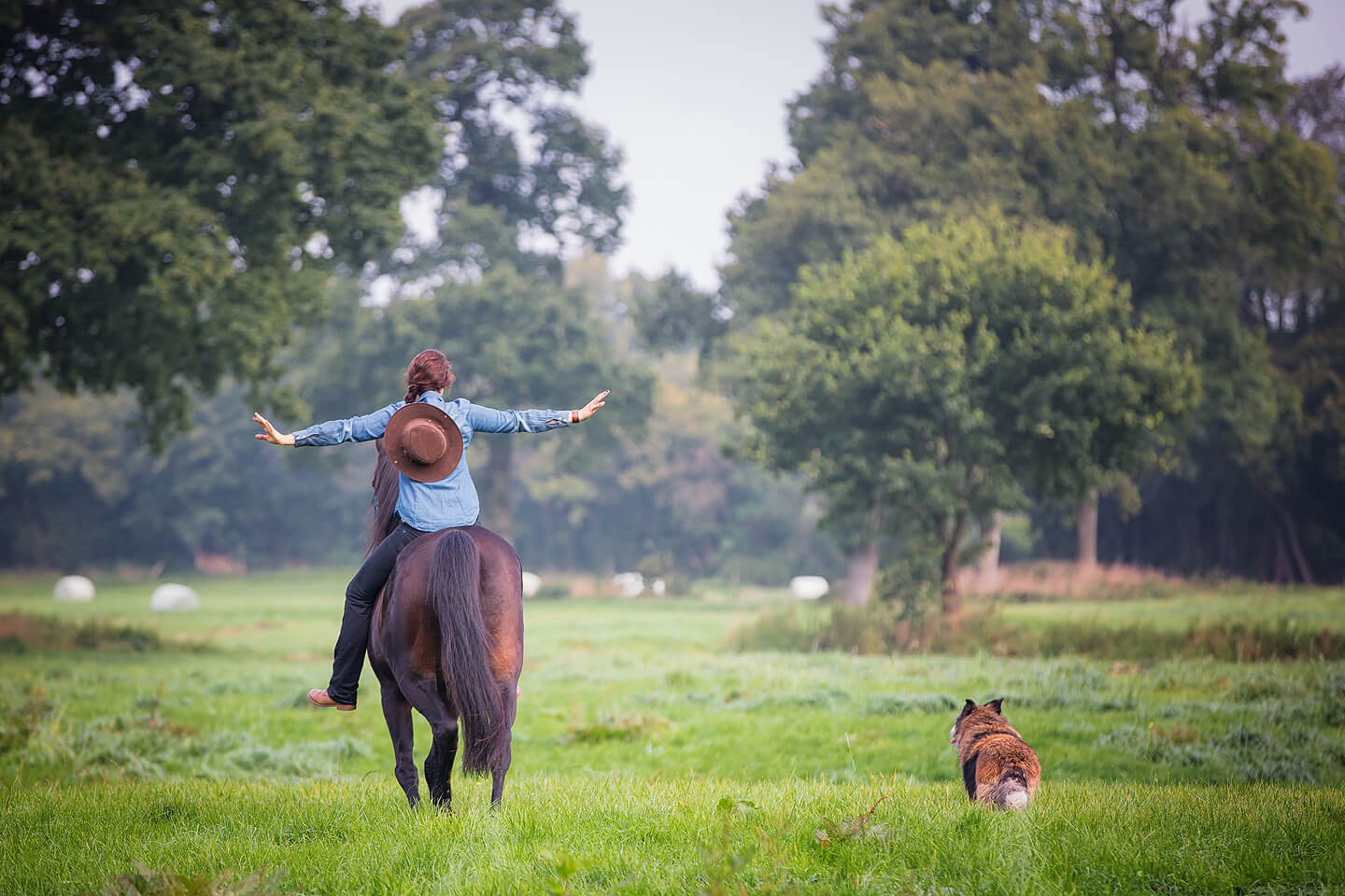 Reiterin mit Cowboy-Hut auf dem Pferd von hinten fotografiert