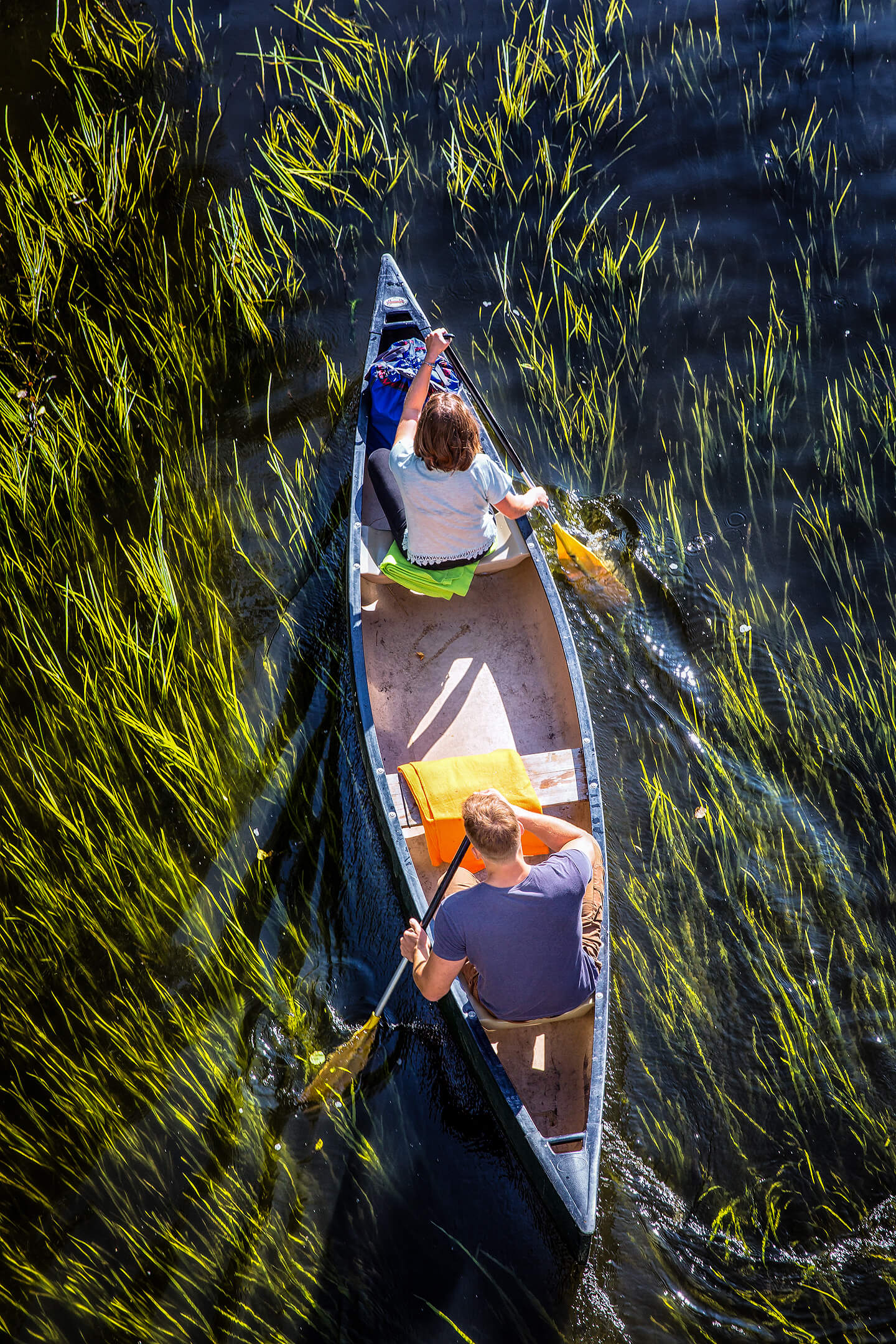 Naturfoto Kanufahren auf der Spree