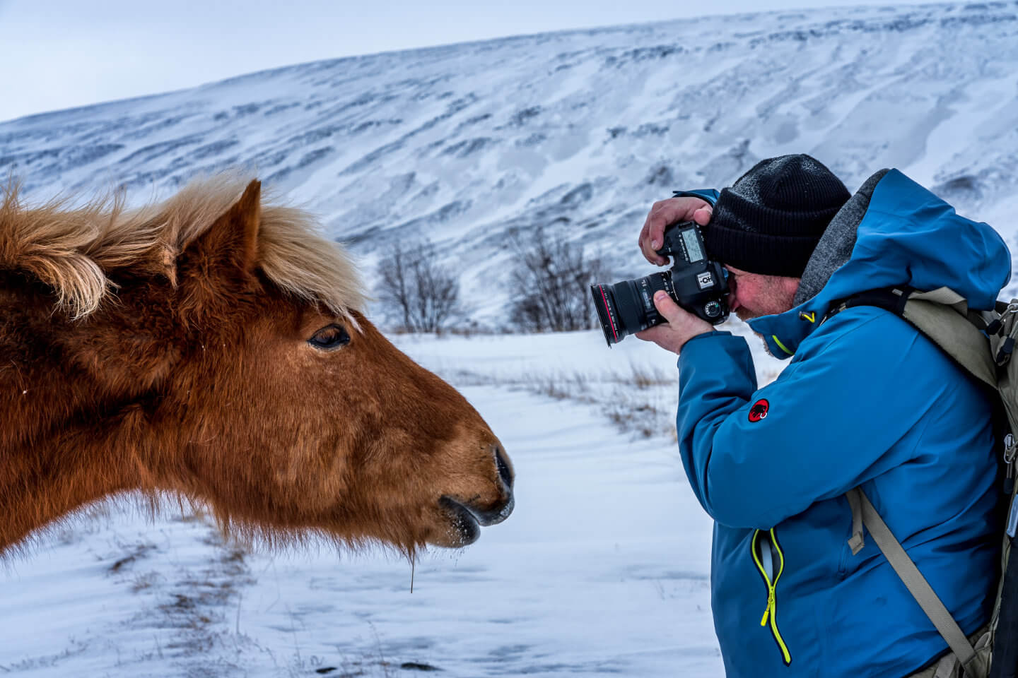 Ganz nah dran: Fotograf Florian Laeufer aus Hamburg fotografiert ein Islandpferd