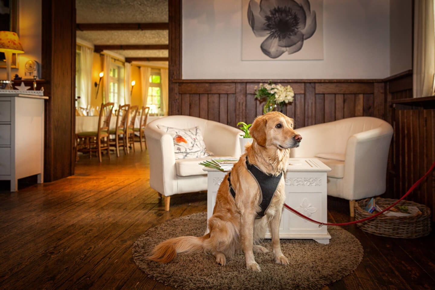 Wachhund in der Hochzeitslocation Strandhus Grossensee