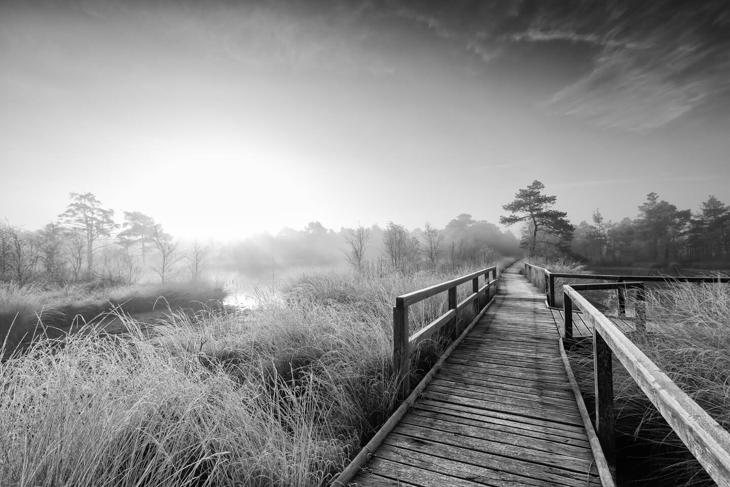 Bildbearbeitung in Schwarz-Weiß oder Farbe?