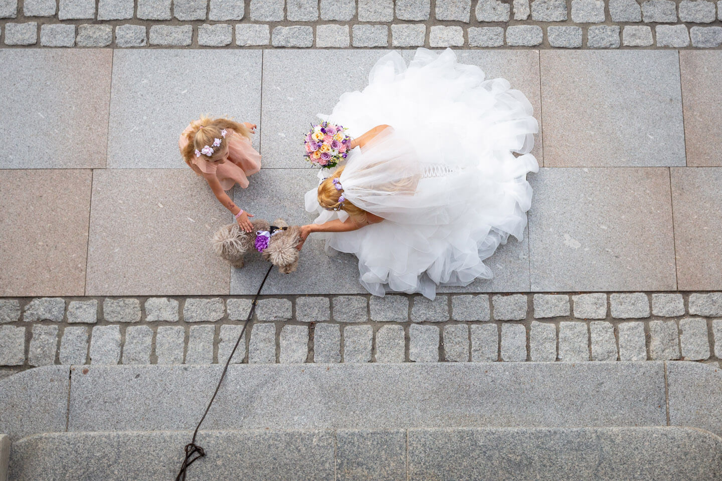 Braut mit Hund und kleinem Mädchen aus der Vogelperspektive fotografiert