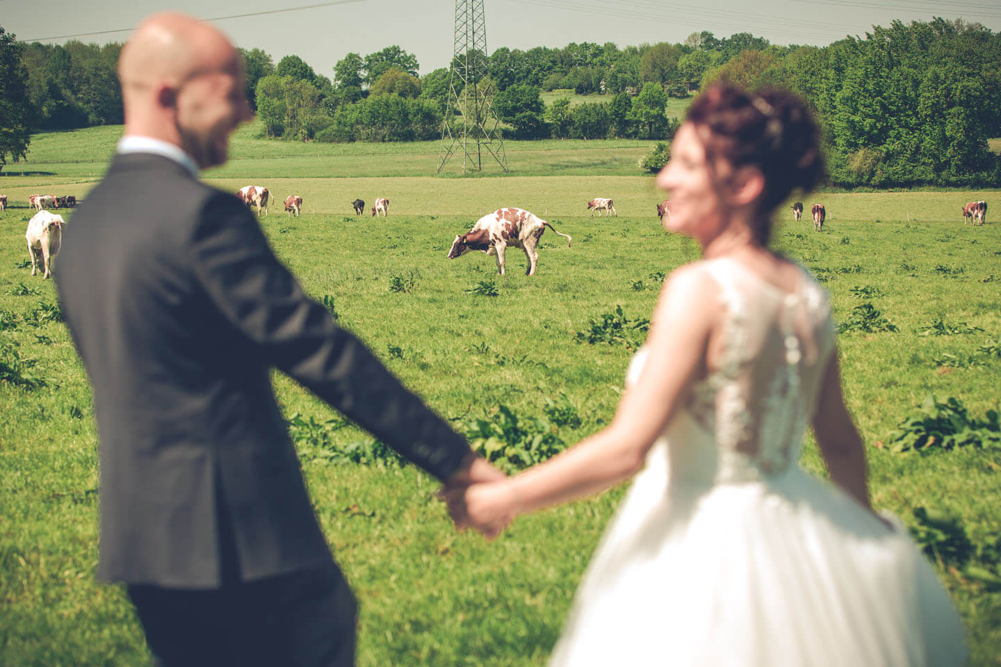 Outtake Hochzeitsfoto im Grünen mit Kuh