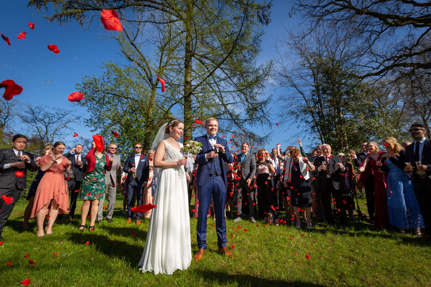 Es regnet Rosenblätter