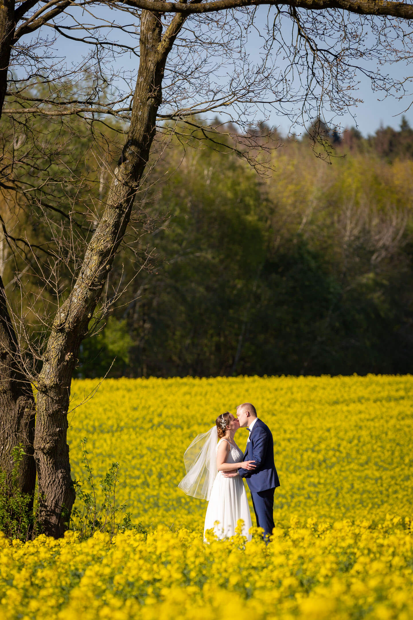 Hochzeitsfoto Rapsfeld