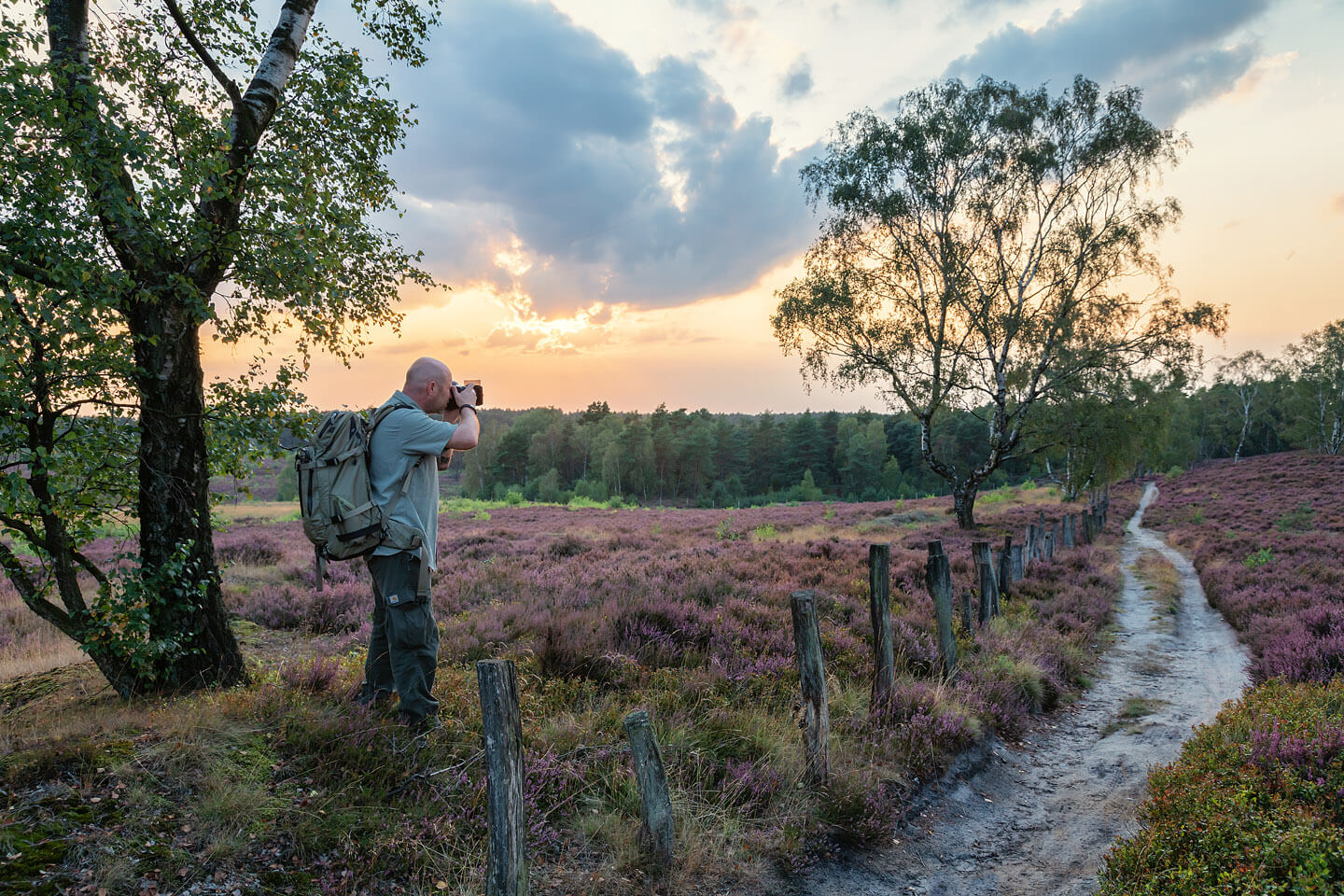Heide fotografieren mit dem Fotograf Florian Läufer