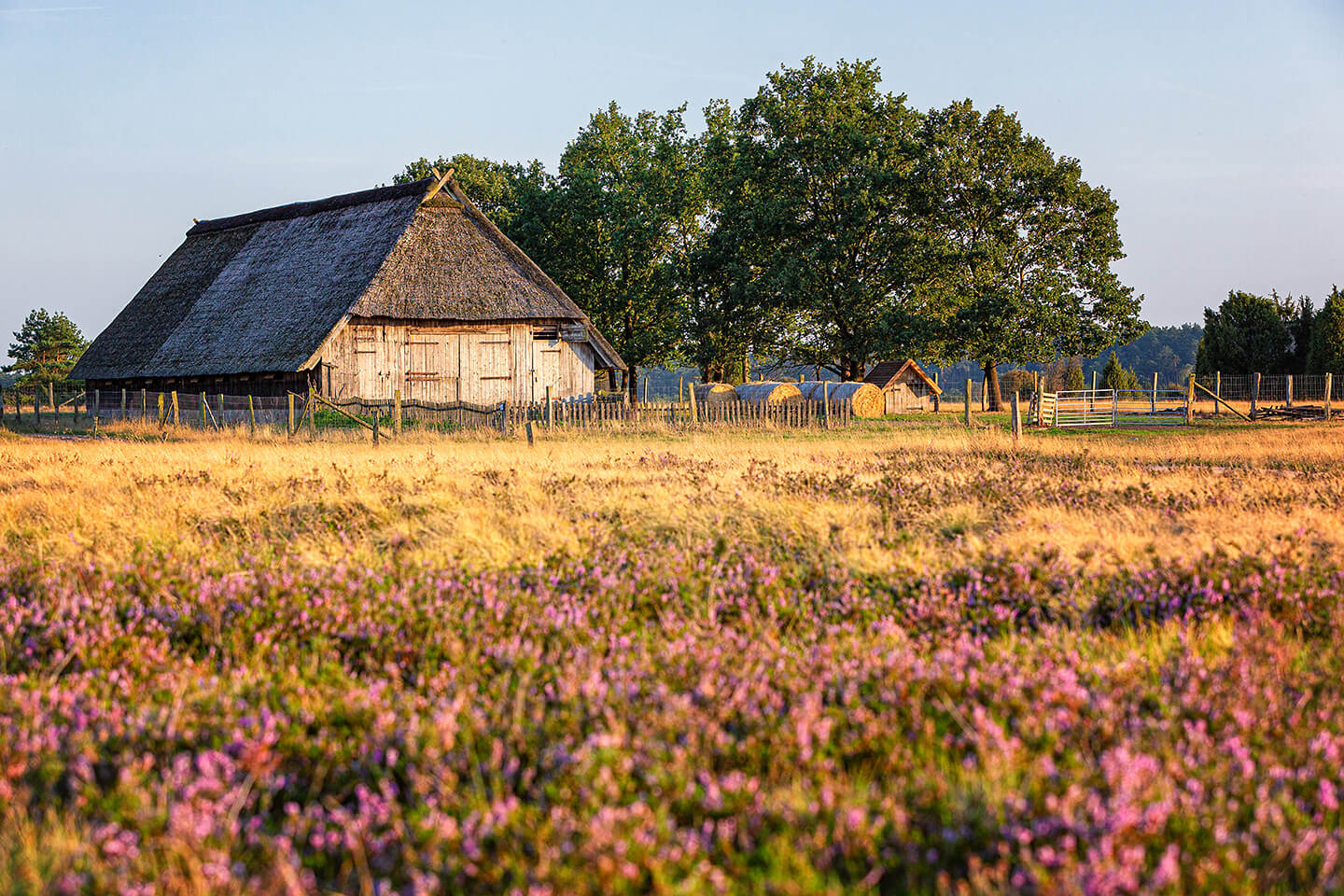 Heidschnuckenstall in der Lüneburger Heide
