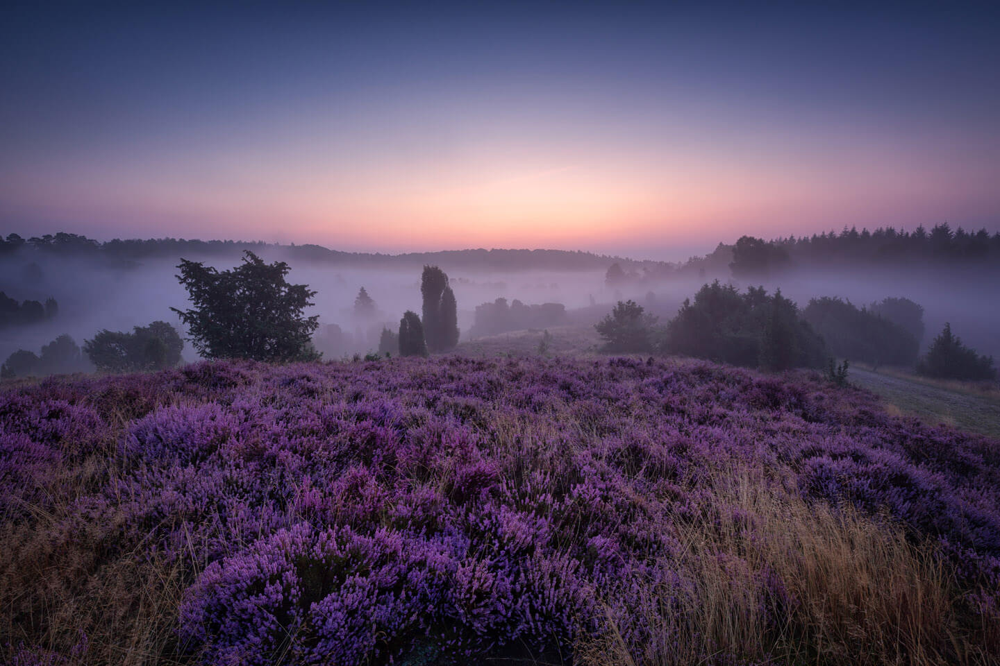 Totengrund in der Lüneburger Heide