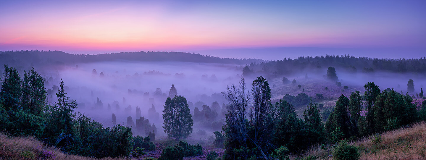 Heide fotografieren - Panorama vom Totengrund im Morgennebel