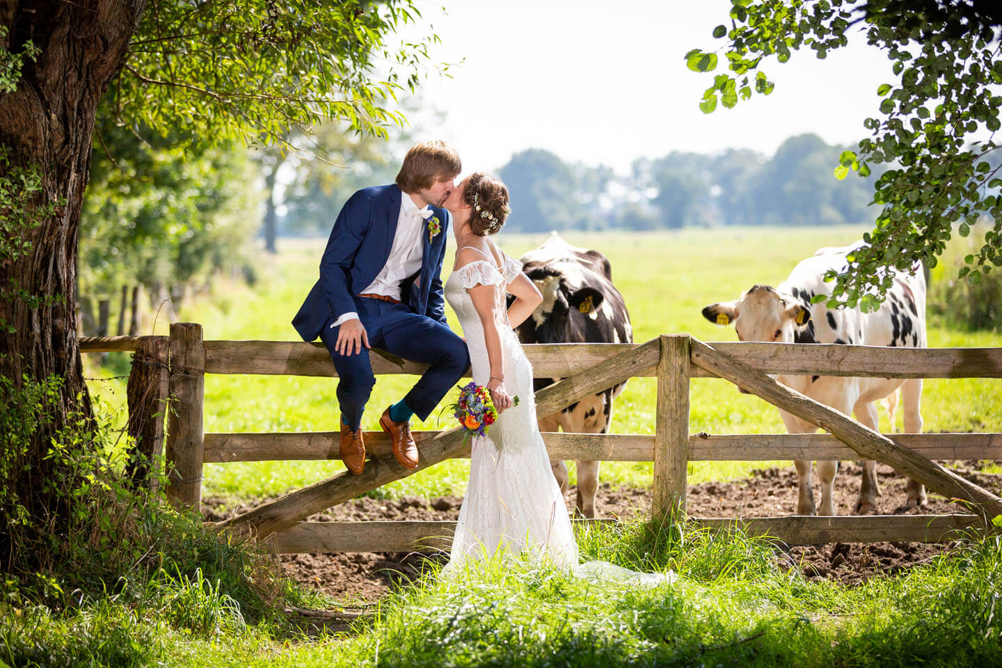 Hochzeitsfotos mit Kühen