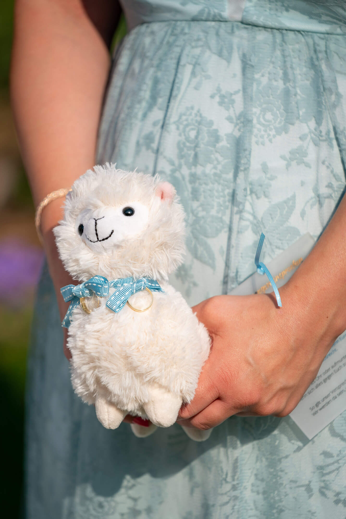 Lama mit Eheringen um den Hals