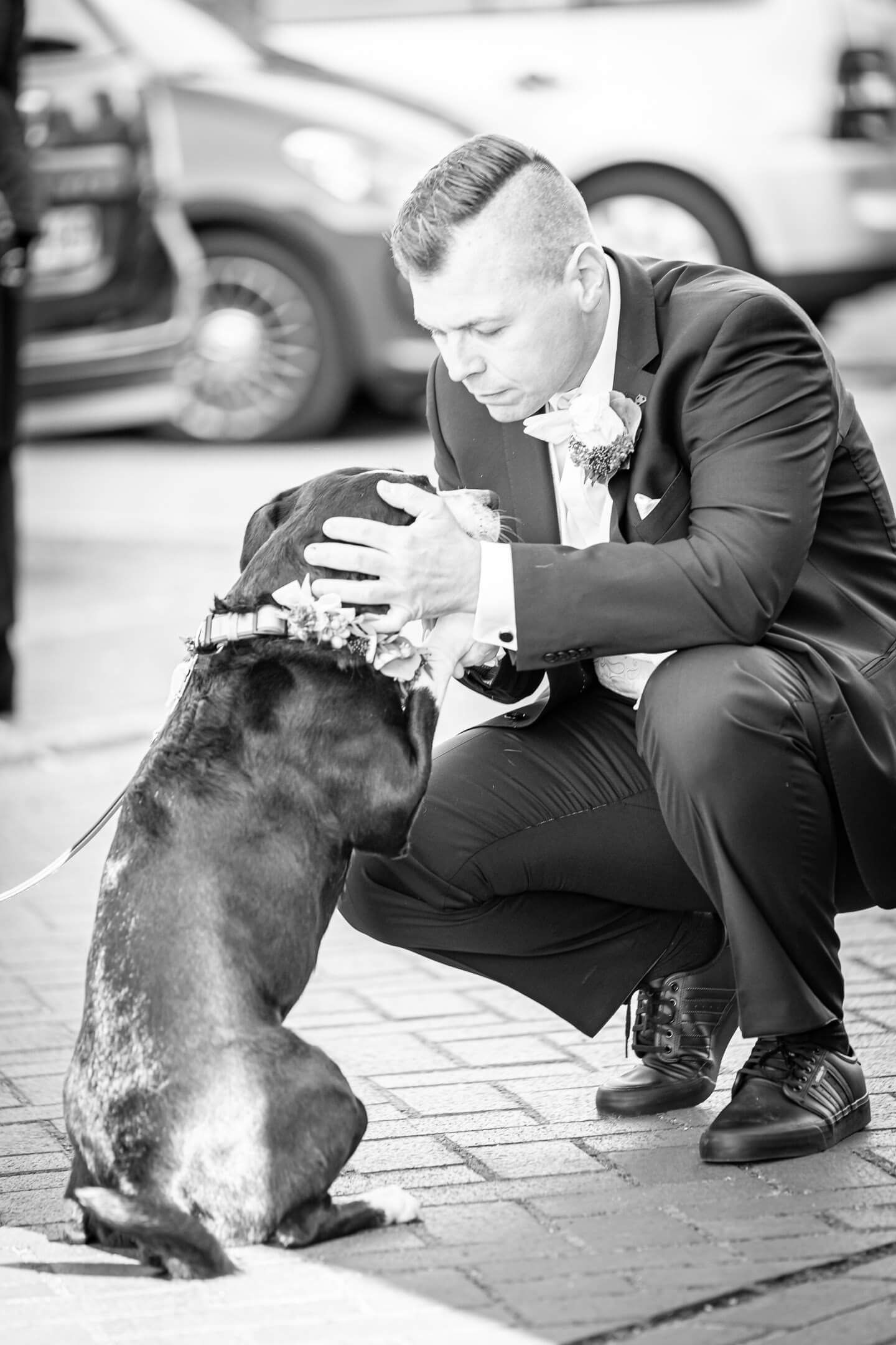 Bräutigam mit Hund