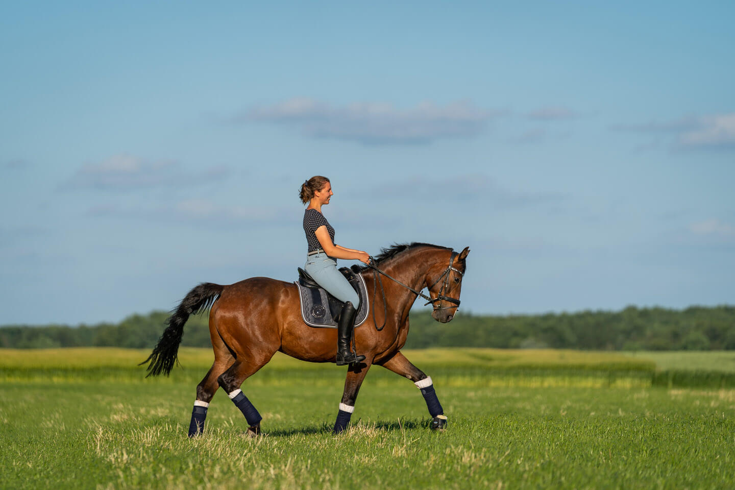 Fridolin im Trab beim Pferdeshooting