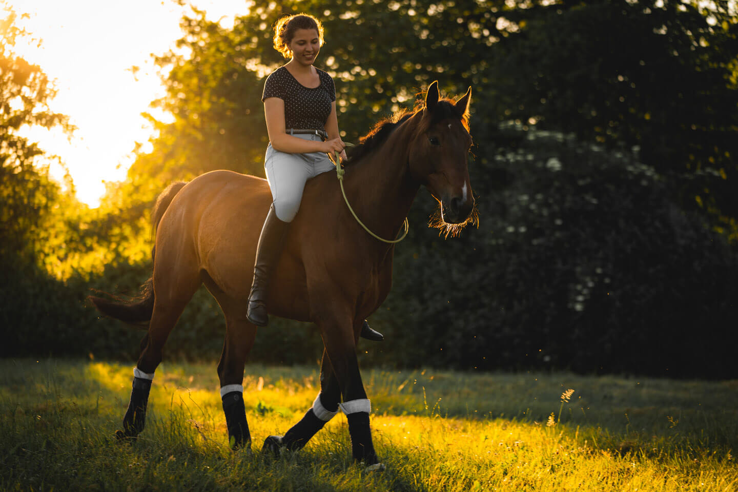 Pferde-Fotoshooting im letzten Sonnenlicht