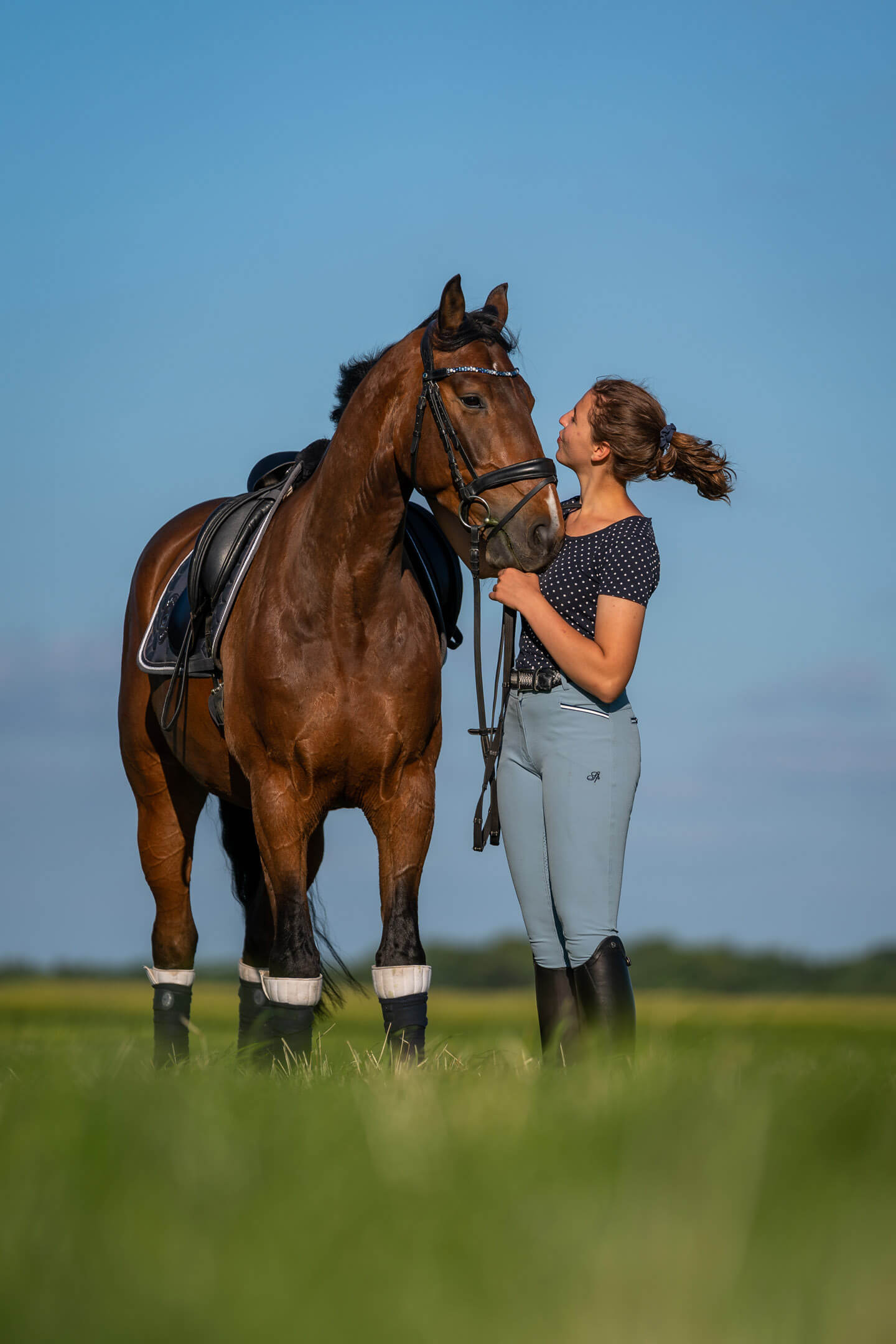 Reiterin und Pferd blicken sich an.
