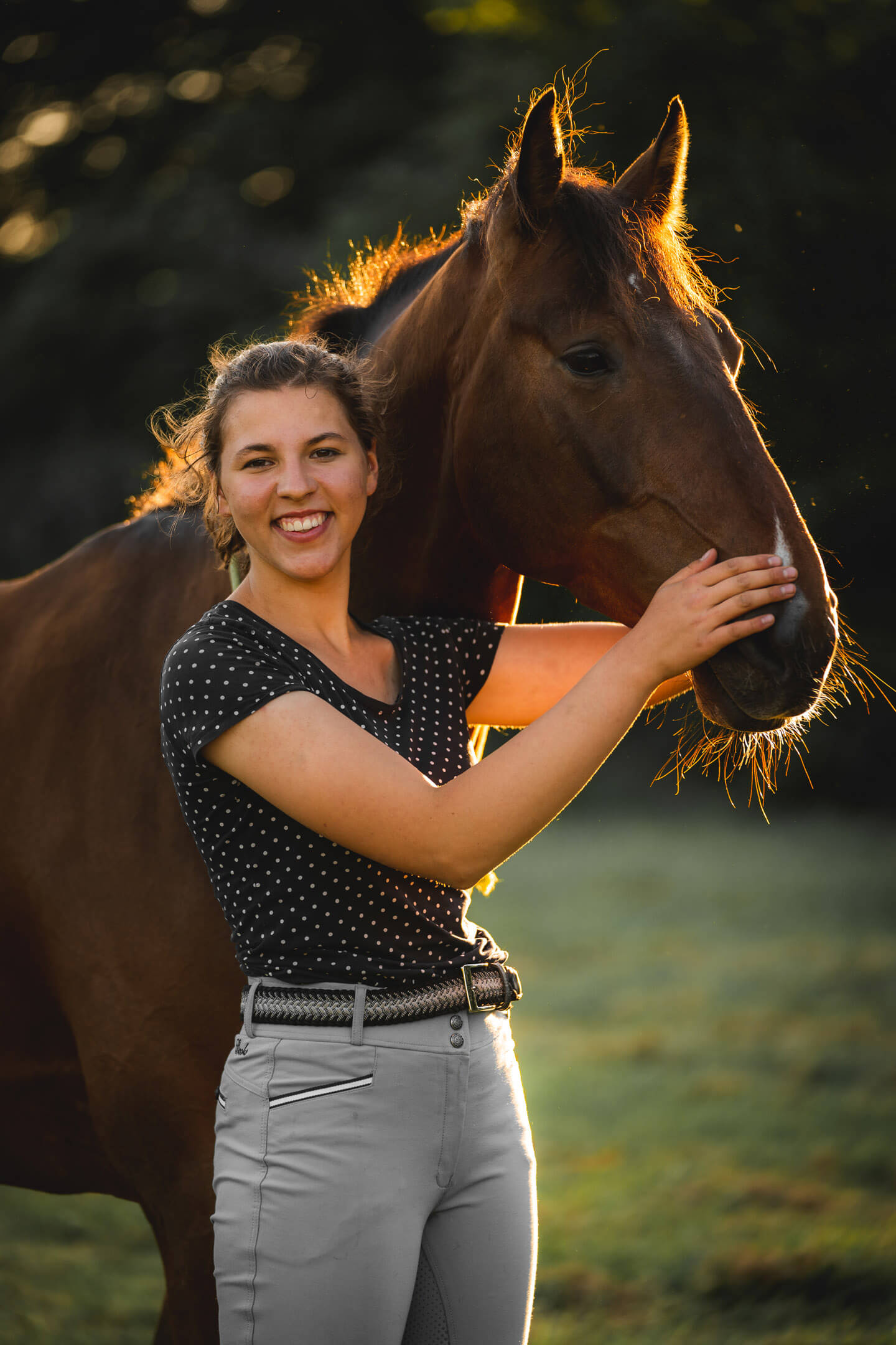 Reiterin und Pferd im Abendlicht fotografiert.