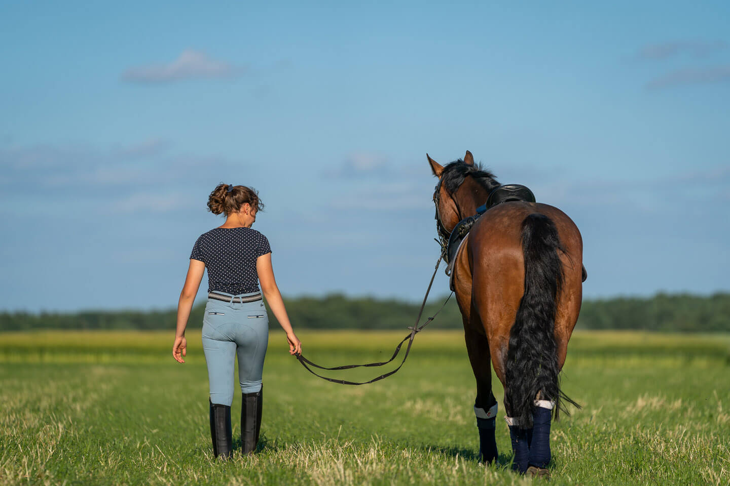 Pferd und reiterin von hinten mit dem Fotoapparat festgehalten.