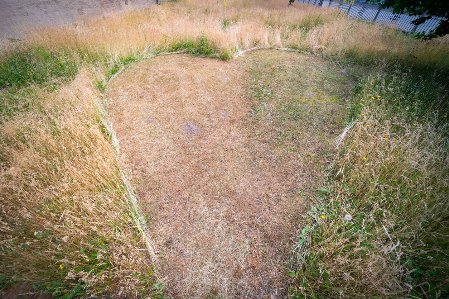 Herz in den Rasen gemäht