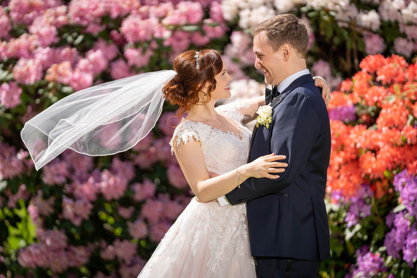 Hochzeitsfoto mit wehendem Schleier vor blühendem Rhododendron.