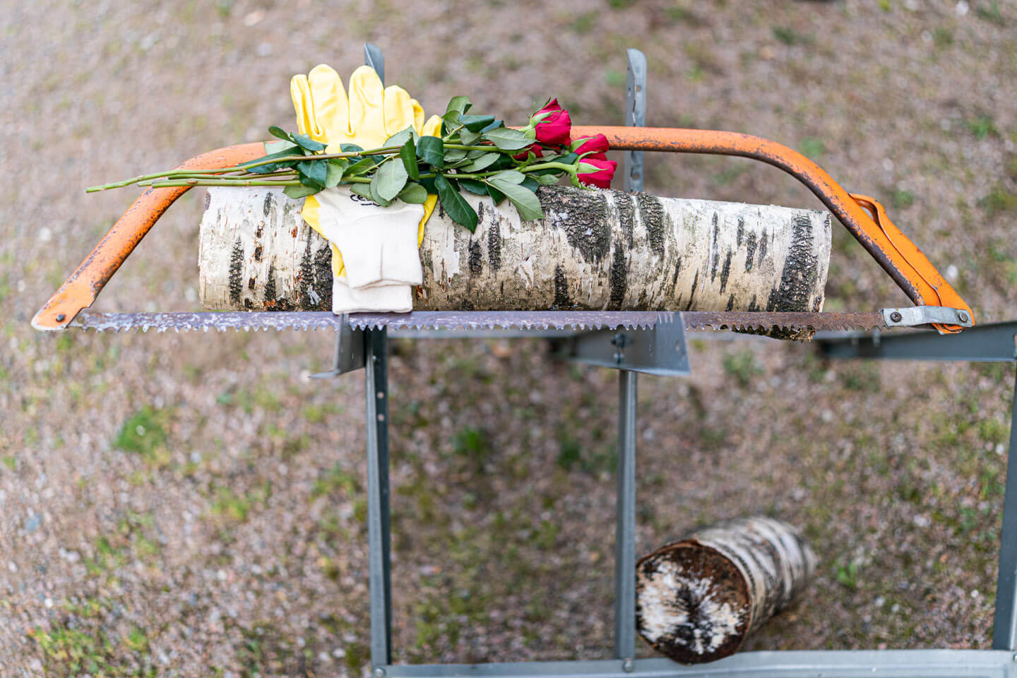 Geschafft! Der Baumstamm ist durch.