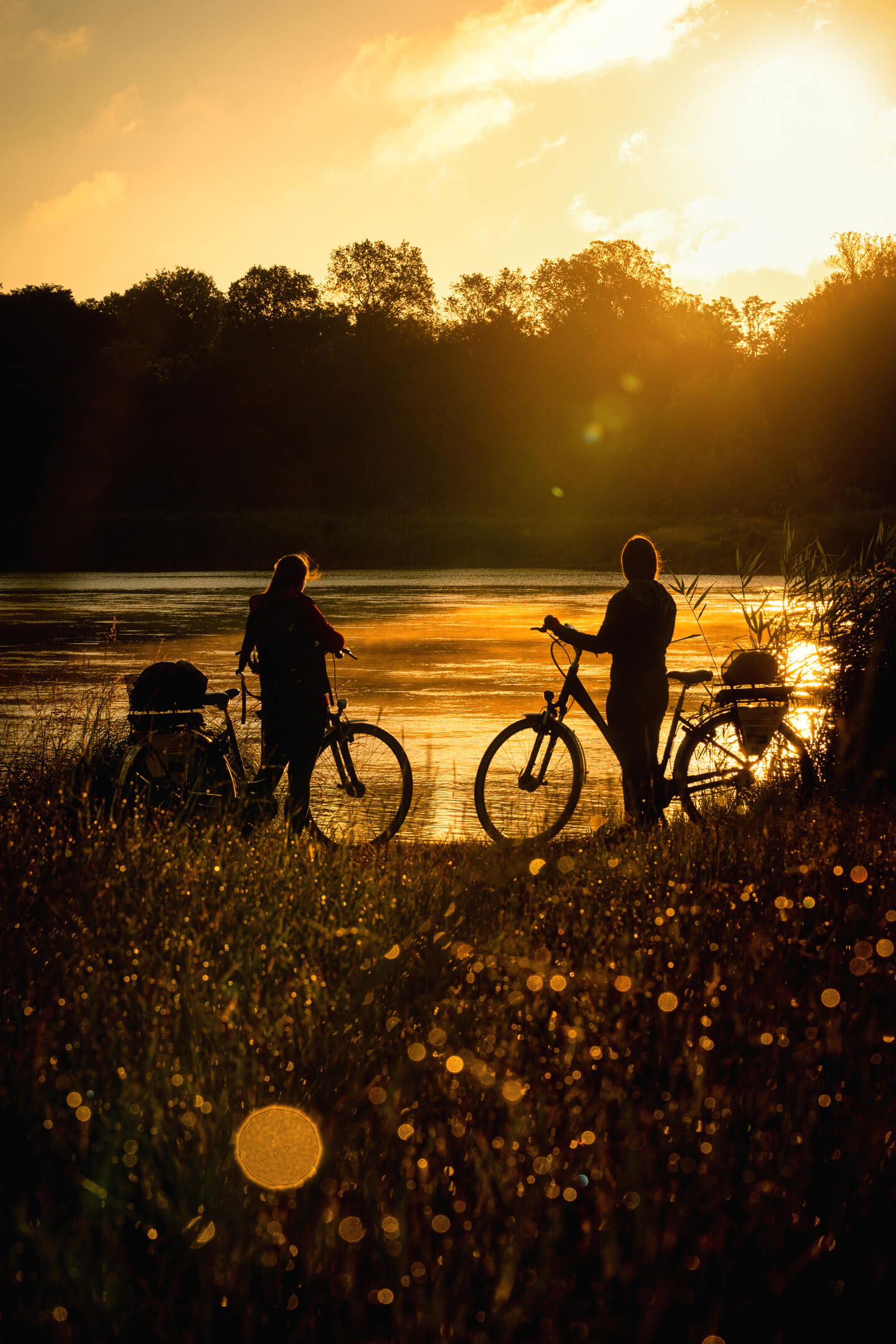 Lens Flares bewusst eingesetzt.