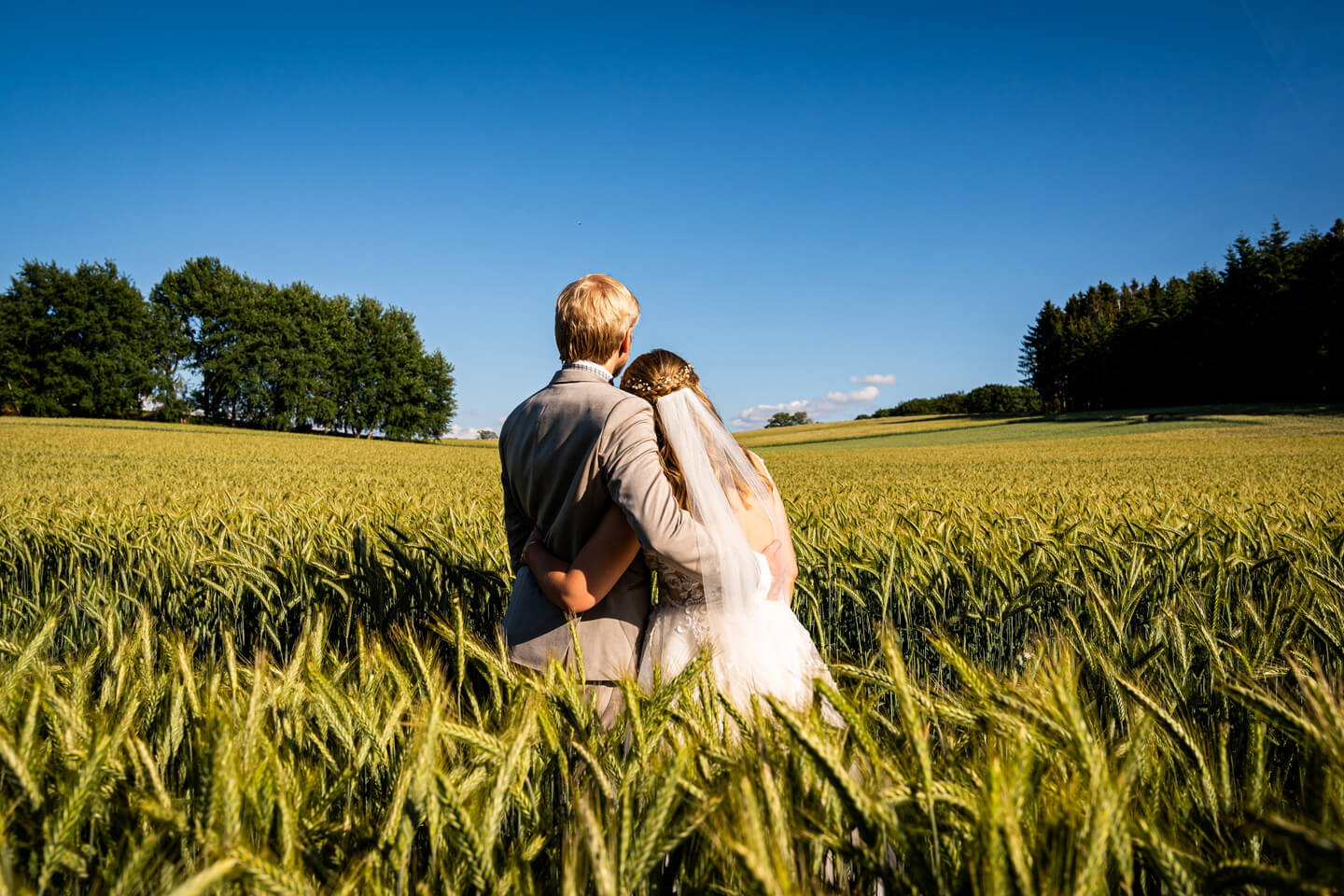 Hochzeitspaar im Kornfeld