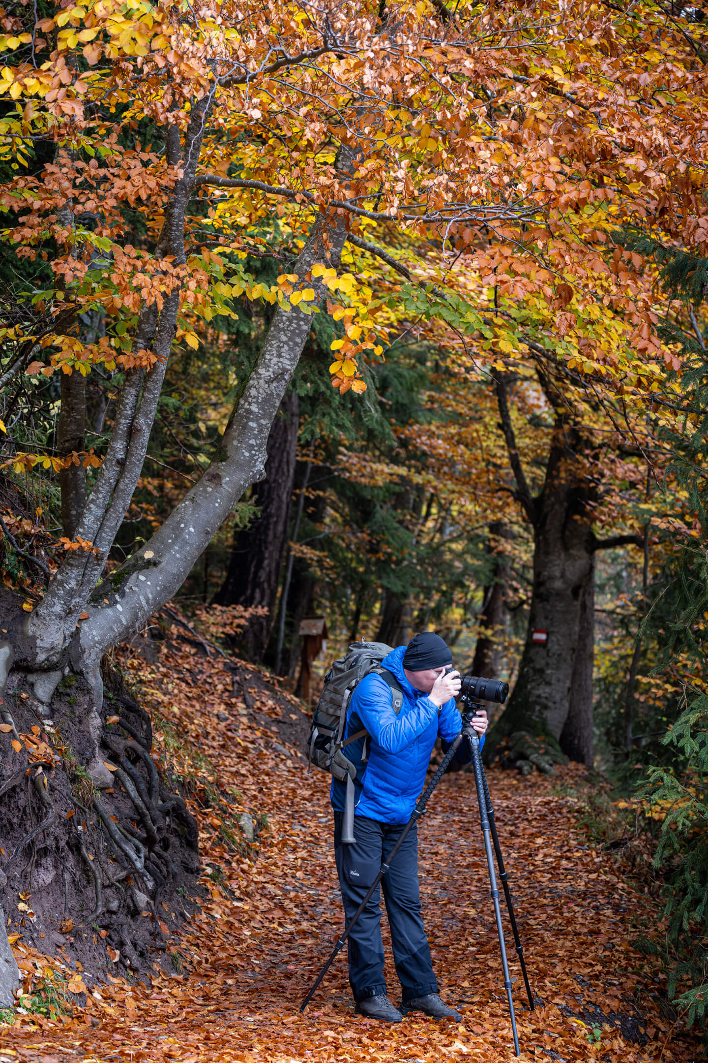 Fotograf im herbstlichen Wald
