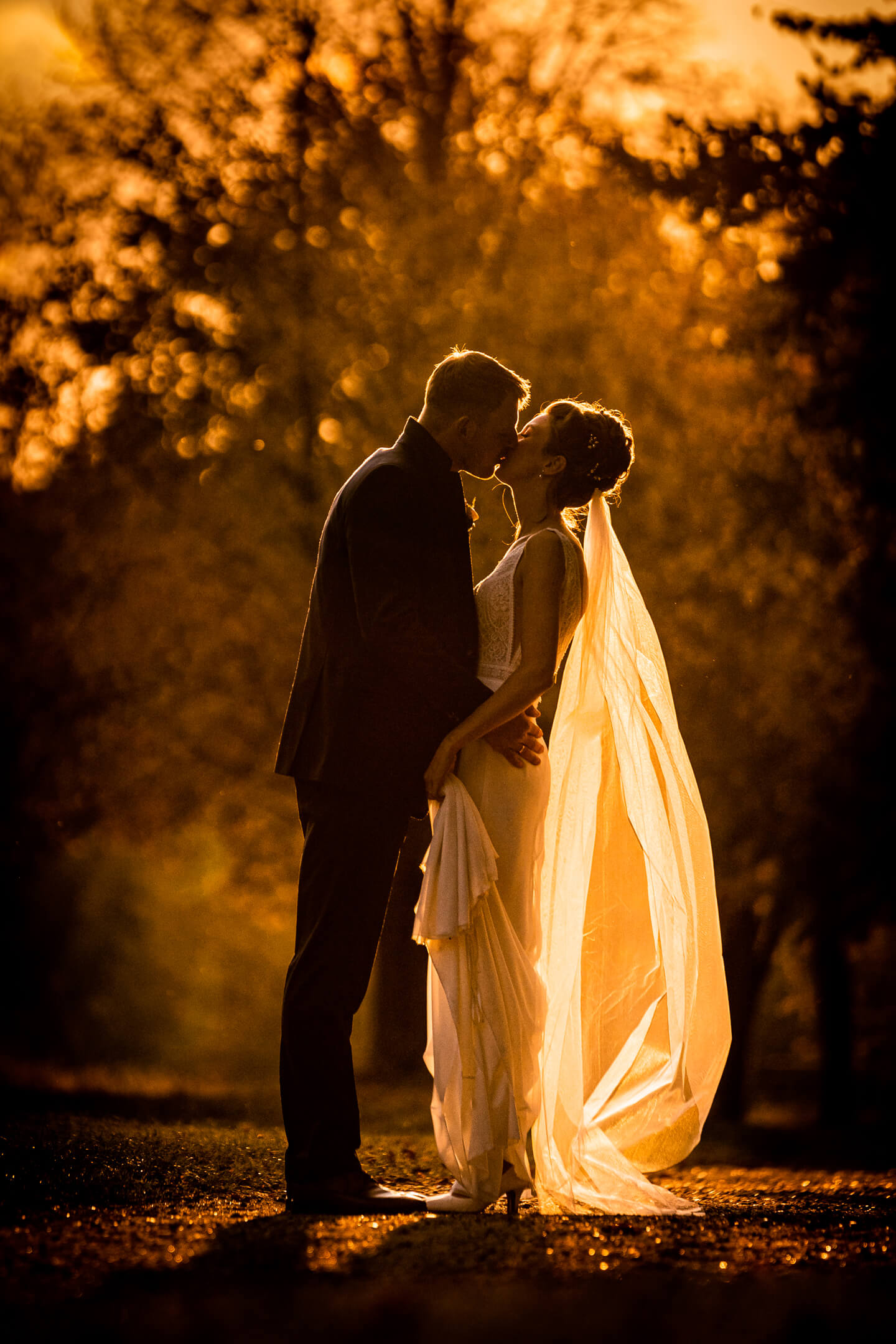 Hochzeitsfotos in Kaltenkirchen im späten Sonnenlicht.