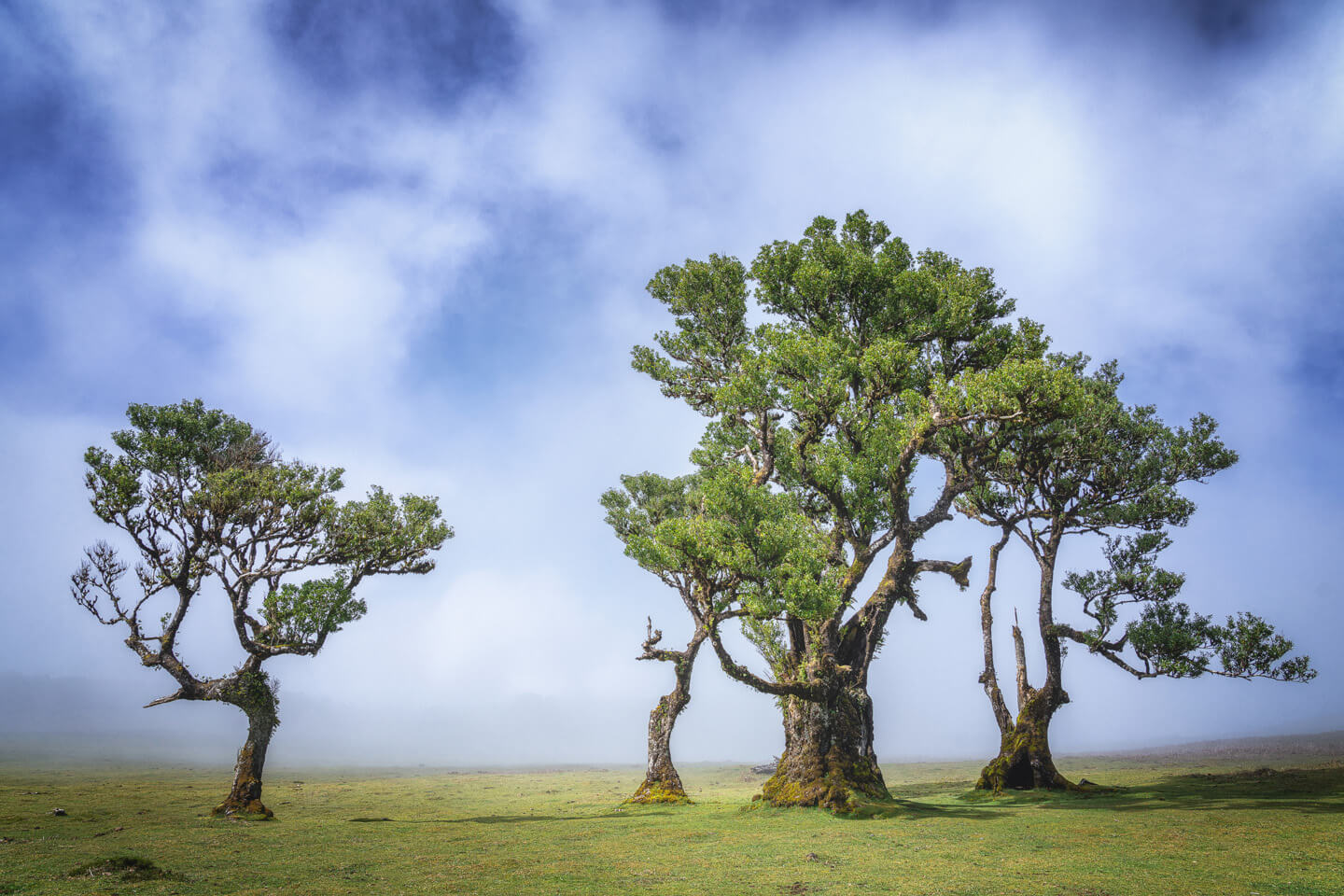 Der Nebel lichtet sich in Posto Florestal Fanal